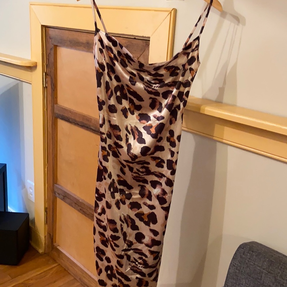 Sexy Satin Animal Print Dress